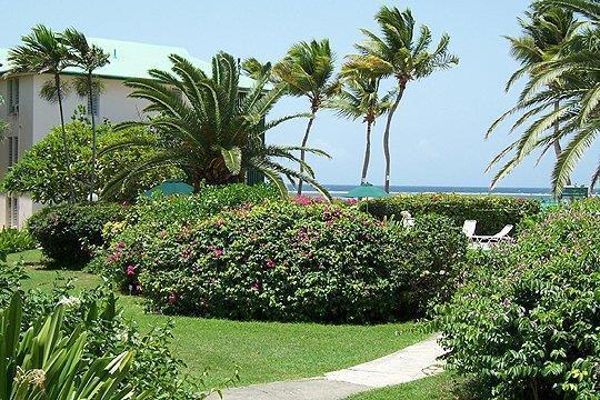 Hotel COLONY COVE BEACH RESORT (Christiansted)